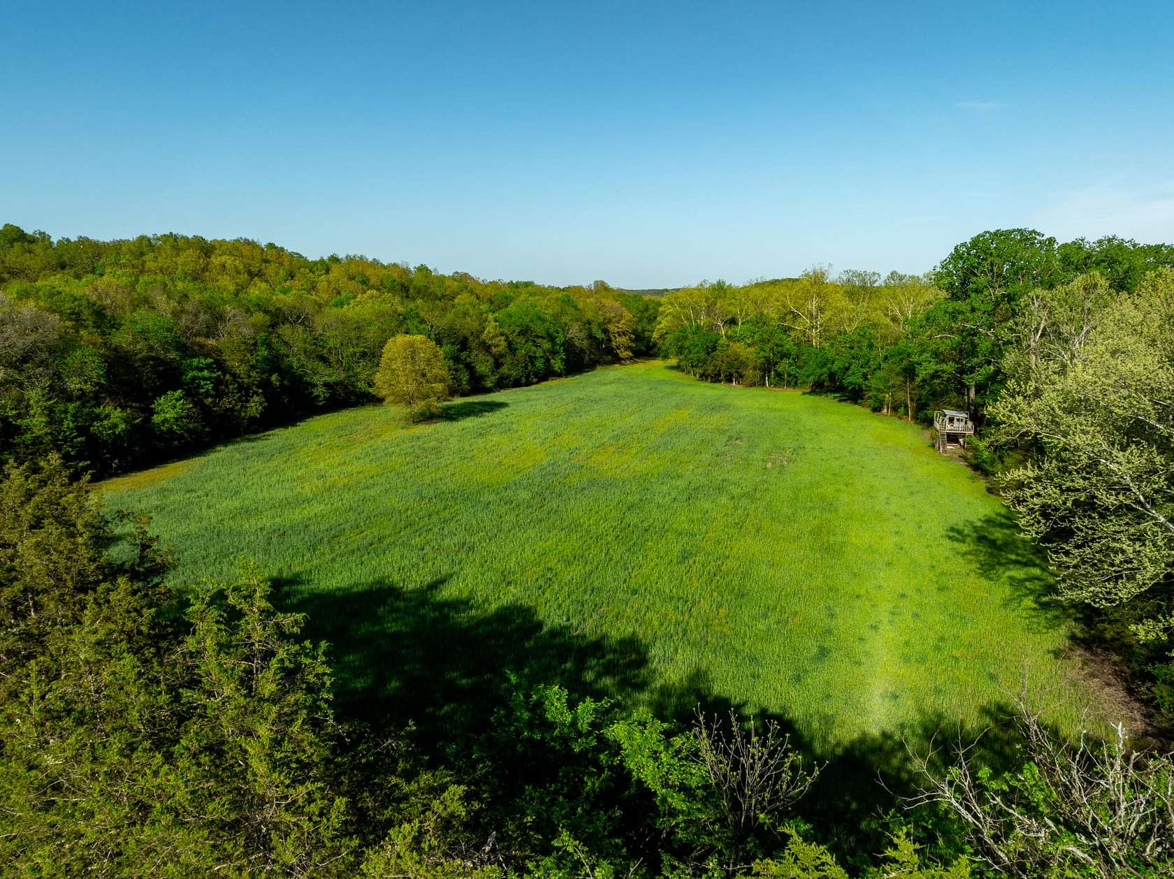 40 Acres of Land for Sale in Evening Shade, Arkansas