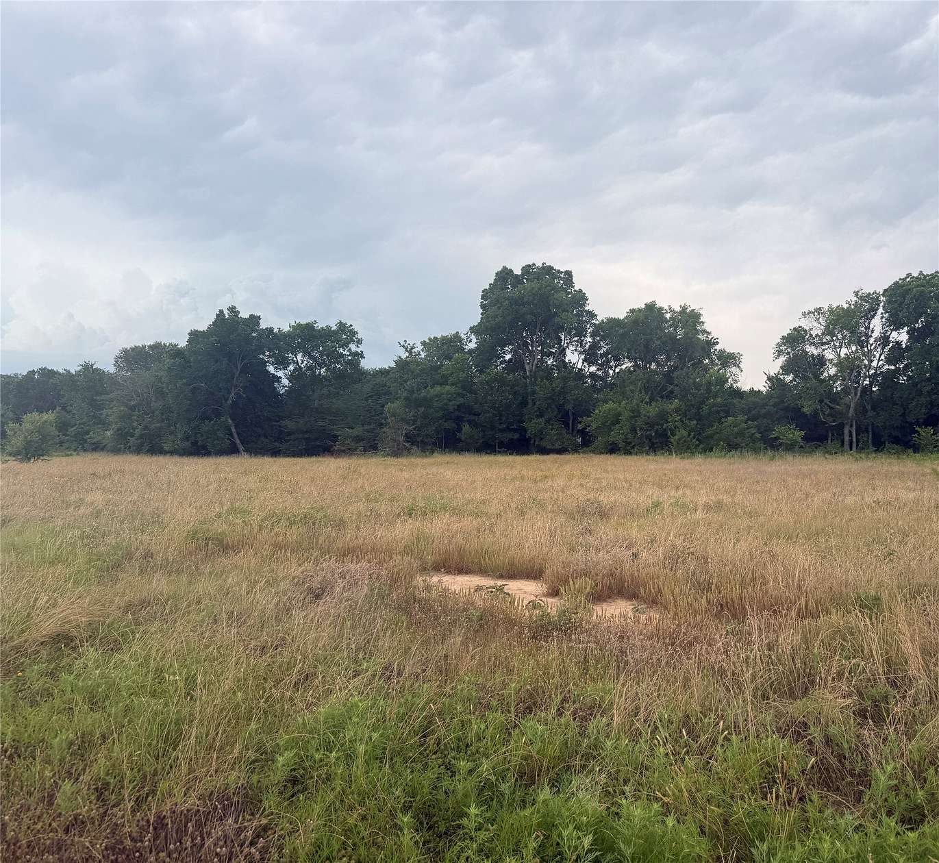 5.83 Acres of Residential Land for Sale in Wills Point, Texas
