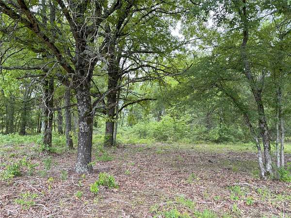 10 Acres of Land for Sale in Alba, Texas