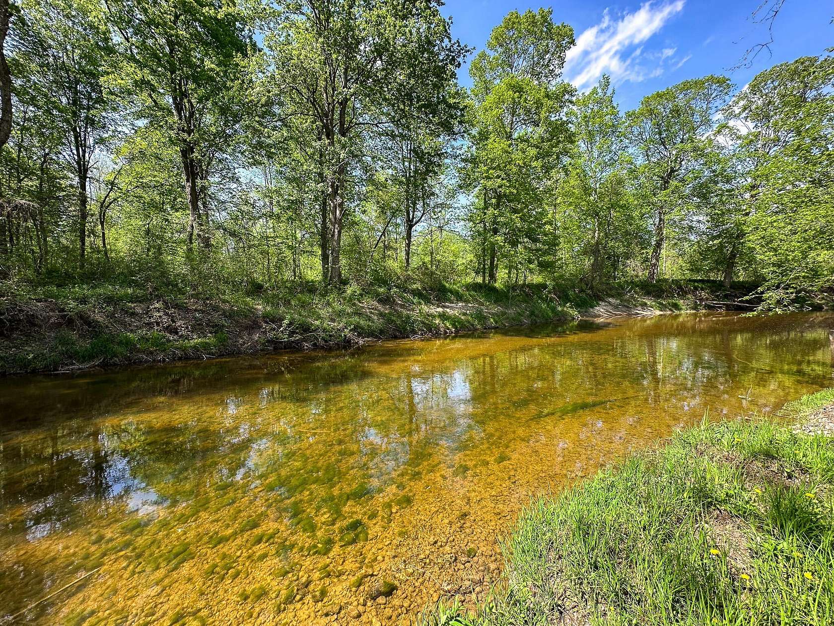 88 Acres of Recreational Land for Sale in Coleman, Michigan