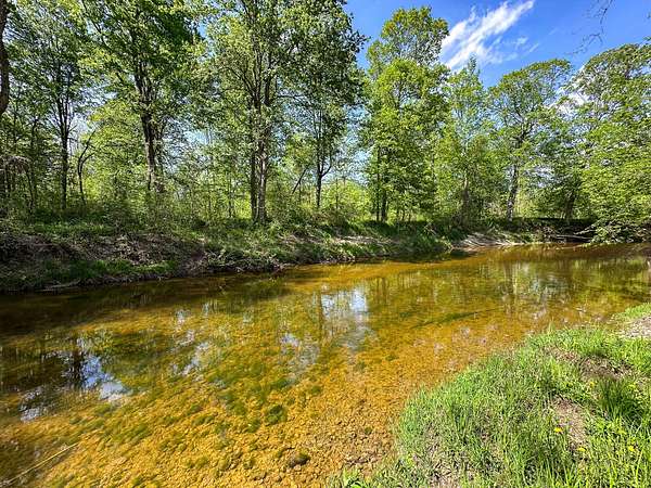 88 Acres of Recreational Land for Sale in Coleman, Michigan