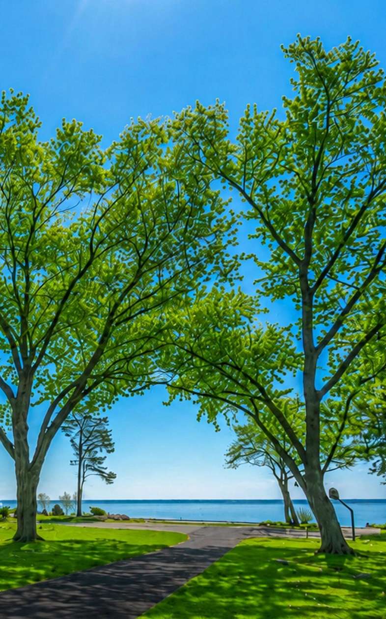 1.28 Acres of Residential Land for Sale in Milwaukee, Wisconsin