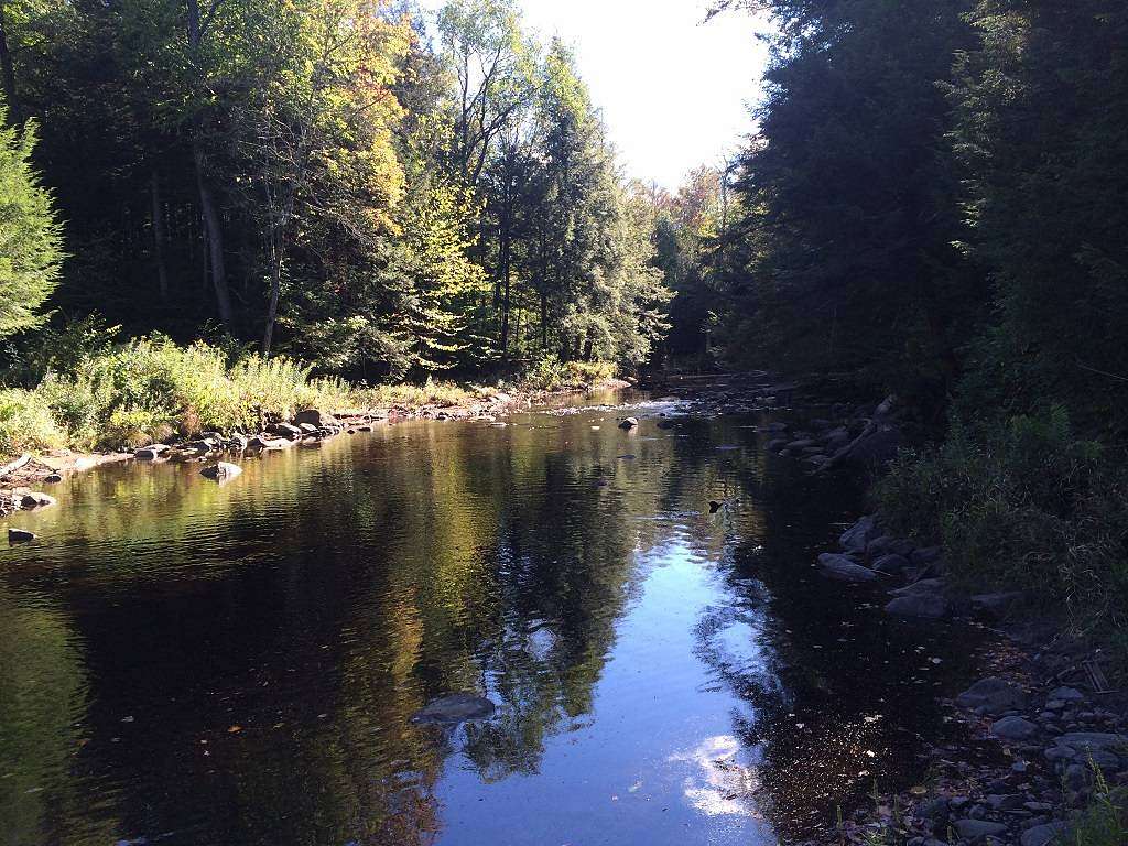 22.6 Acres of Recreational & Residential Land for Sale in Salisbury Center, New York
