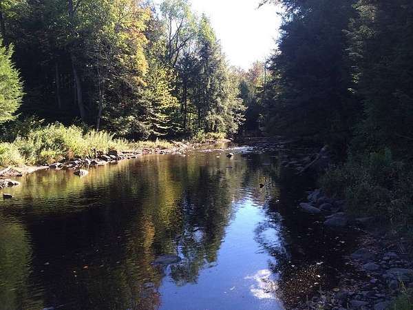 22.6 Acres of Recreational & Residential Land for Sale in Salisbury Center, New York