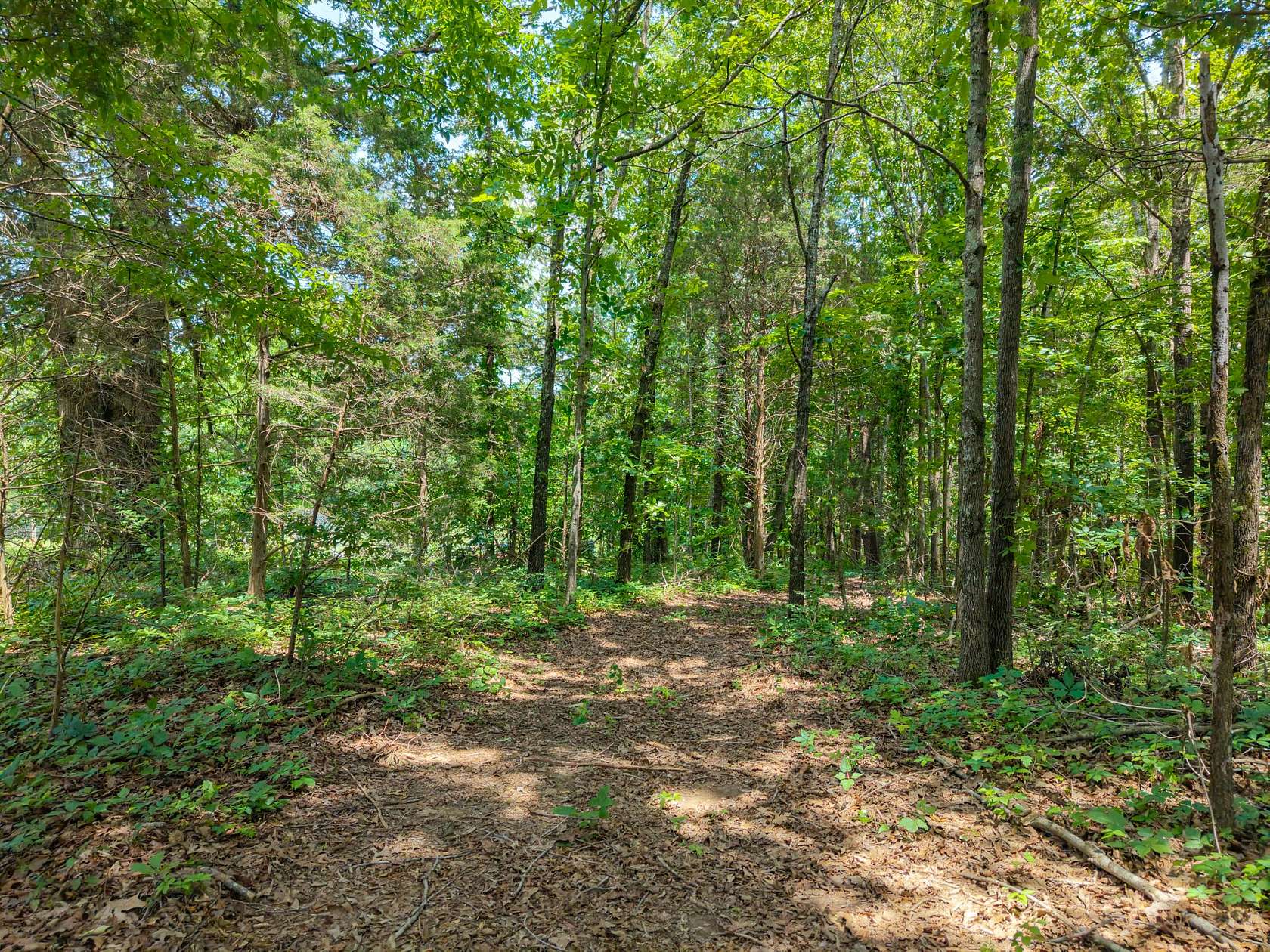 5.49 Acres of Residential Land for Sale in Bon Aqua, Tennessee