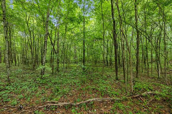5.49 Acres of Residential Land for Sale in Bon Aqua, Tennessee