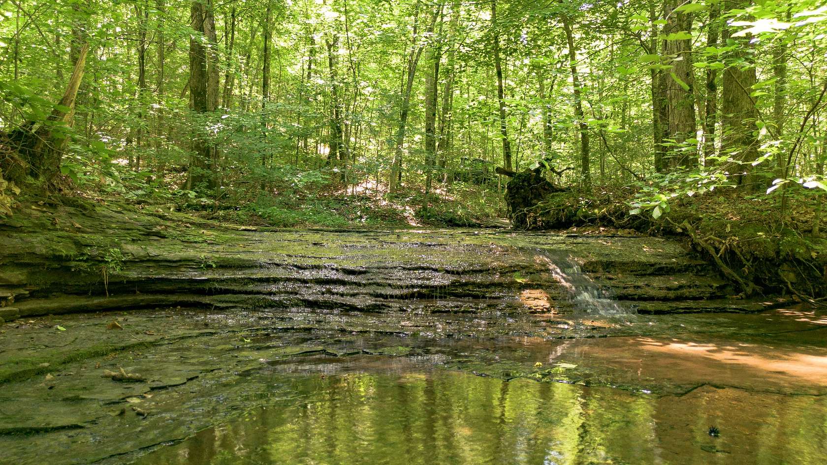 151 Acres of Recreational Land for Sale in Nashville, Tennessee