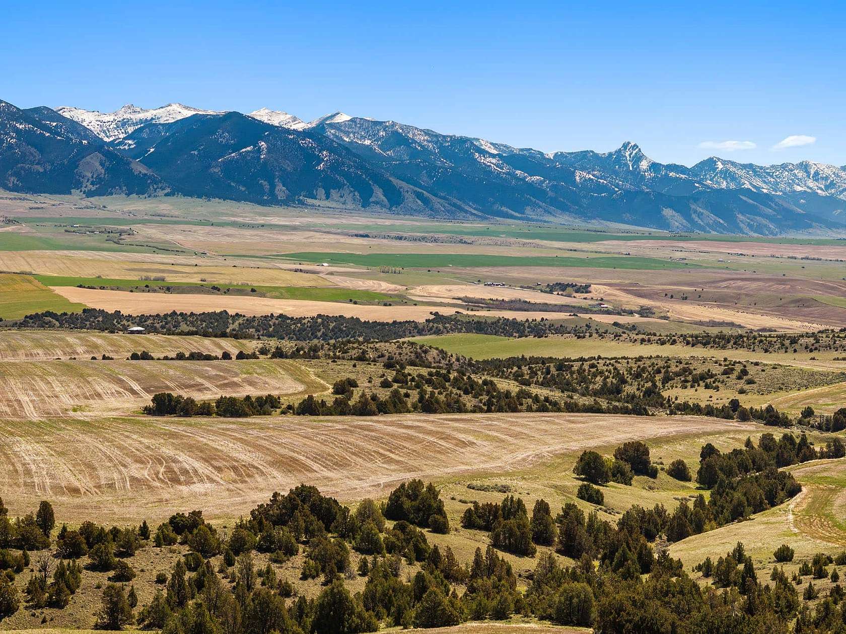 80 Acres of Land for Sale in Belgrade, Montana