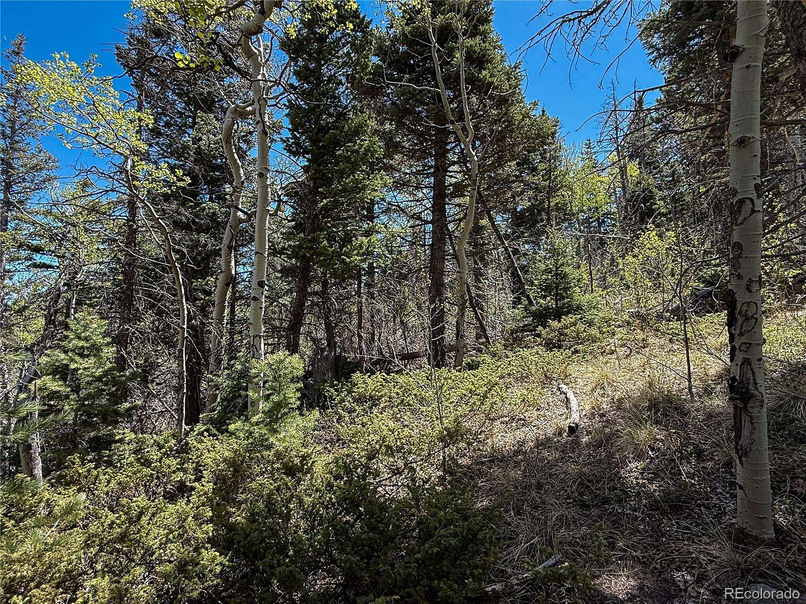 2.63 Acres of Residential Land for Sale in Fort Garland, Colorado