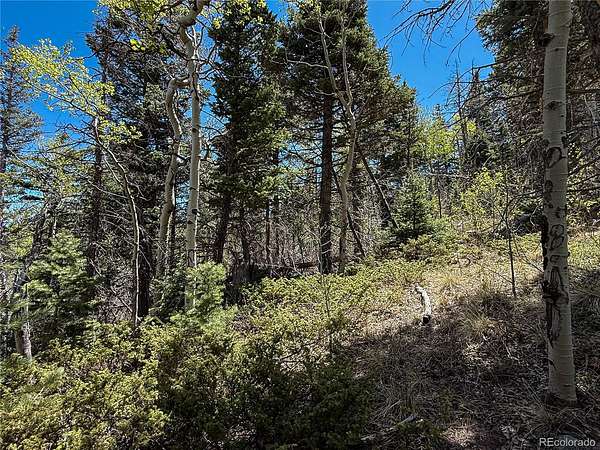 2.63 Acres of Residential Land for Sale in Fort Garland, Colorado