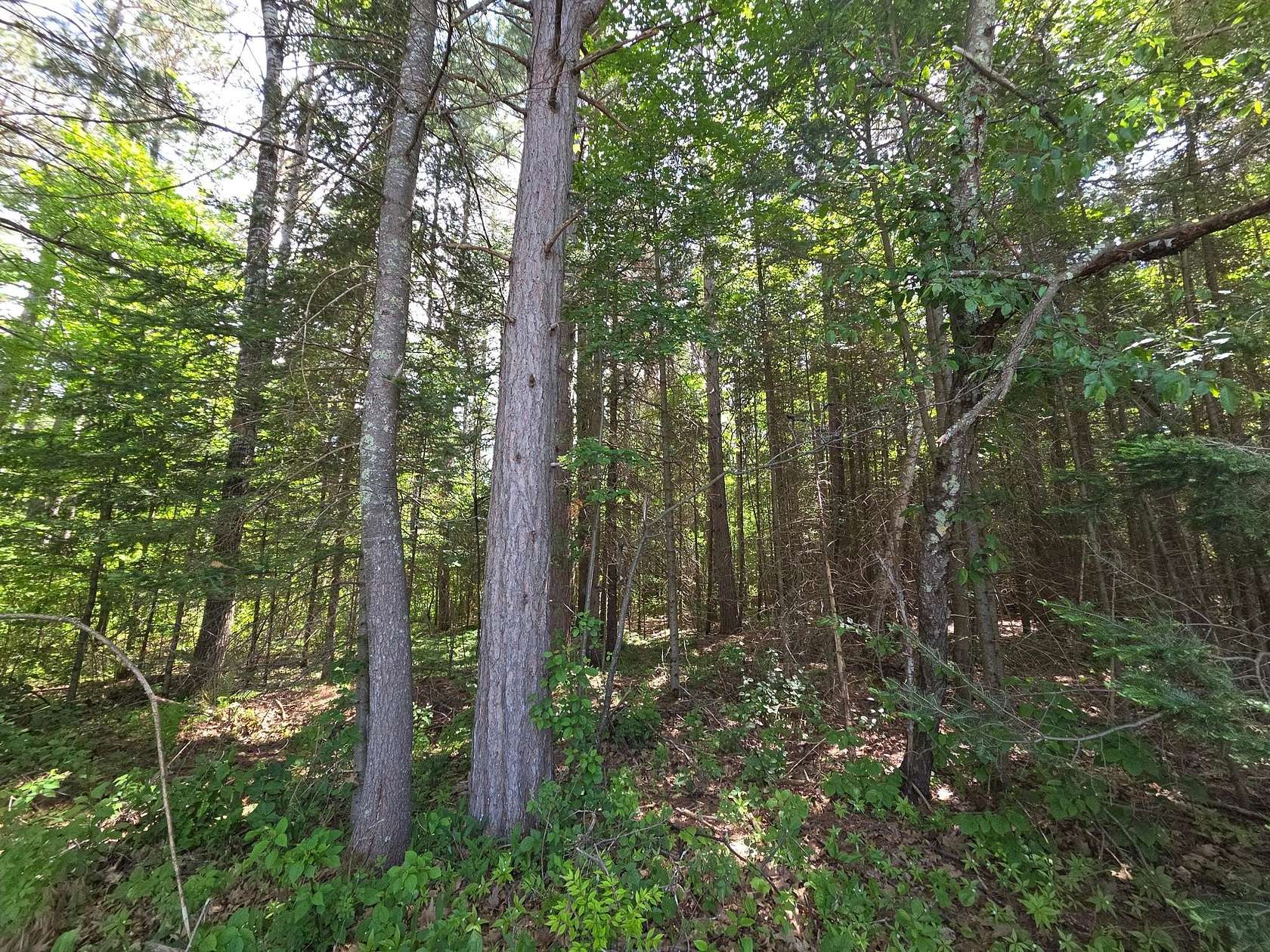 1 Acre of Residential Land for Sale in Phillips, Wisconsin