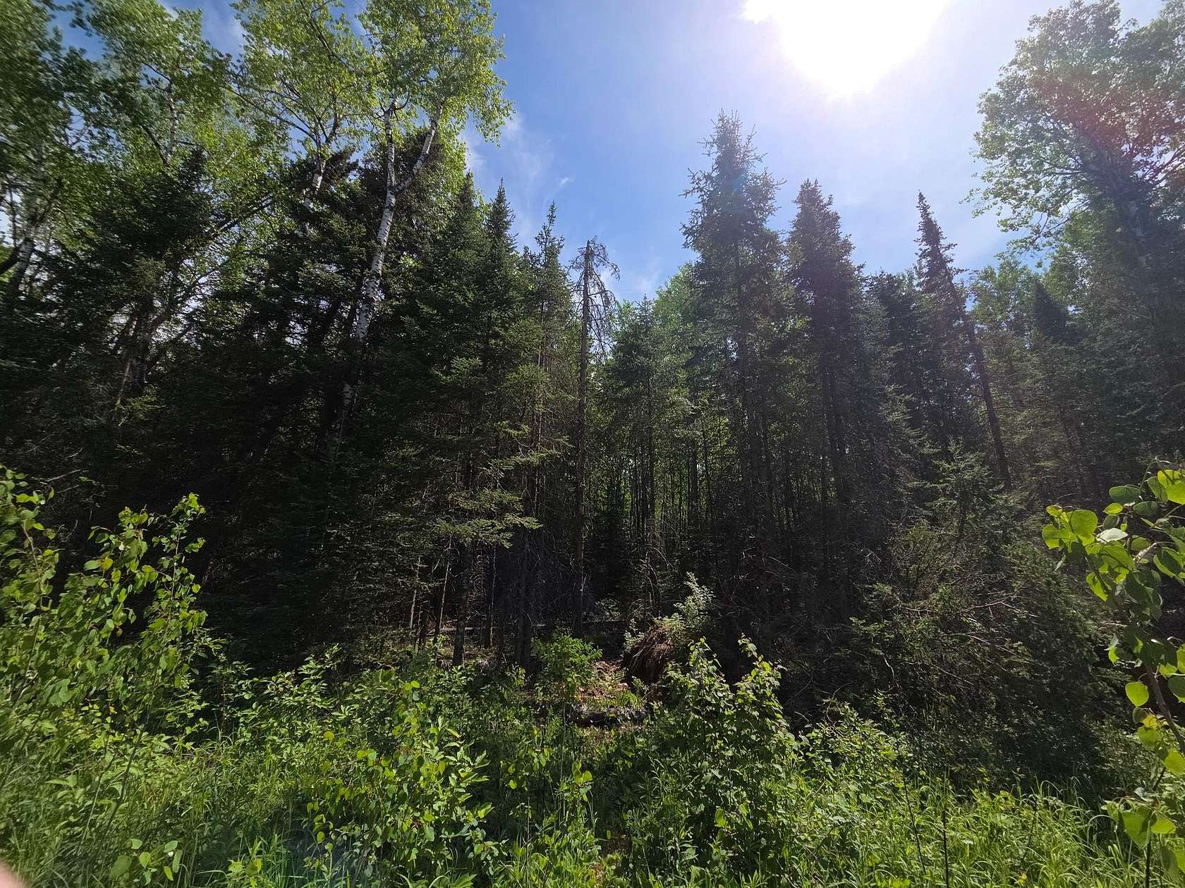 1.25 Acres of Residential Land for Sale in Phillips, Wisconsin