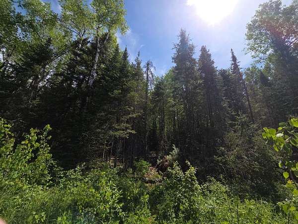 1.25 Acres of Residential Land for Sale in Phillips, Wisconsin