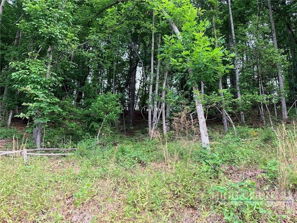 150 Acres of Recreational & Residential Land for Sale in Ferguson, North Carolina