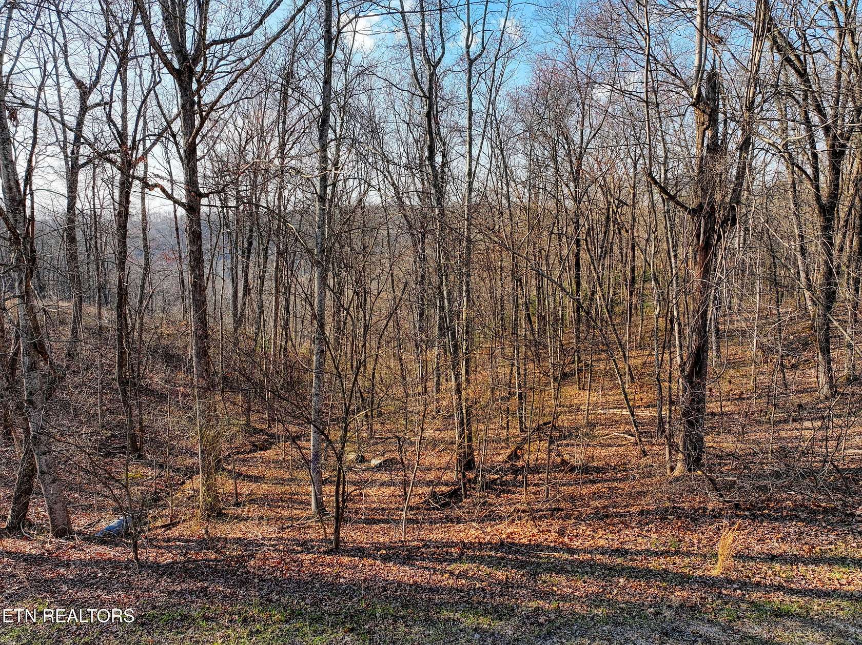 5.2 Acres of Residential Land for Sale in Monterey, Tennessee