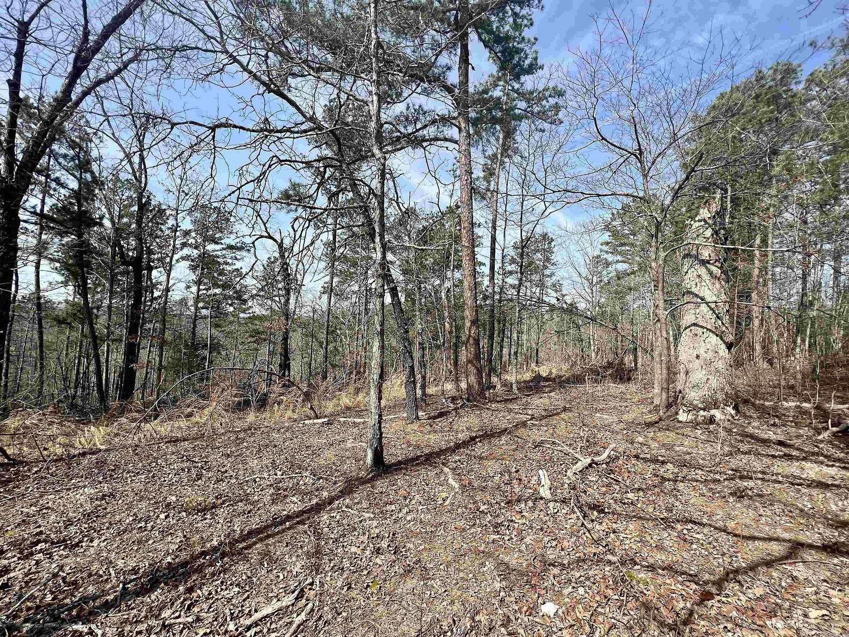 5 Acres of Land for Sale in Yellville, Arkansas