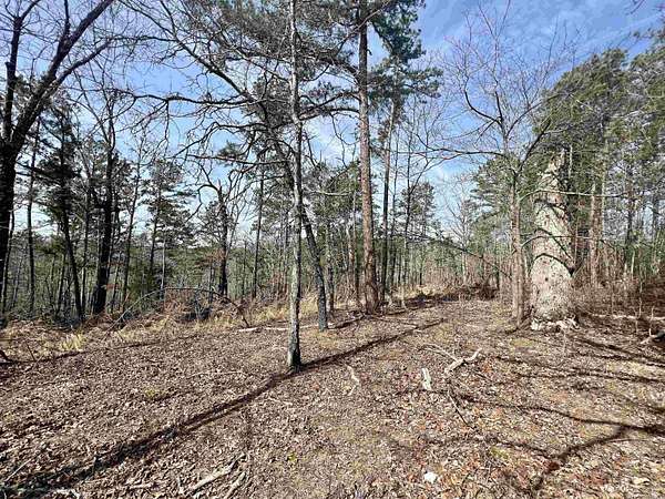 5 Acres of Land for Sale in Yellville, Arkansas