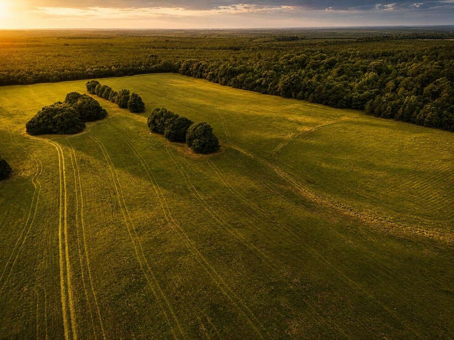 57.5 Acres of Land for Sale in Barnwell, South Carolina