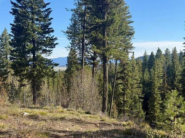 5 Acres of Recreational Land for Sale in Cascade, Idaho