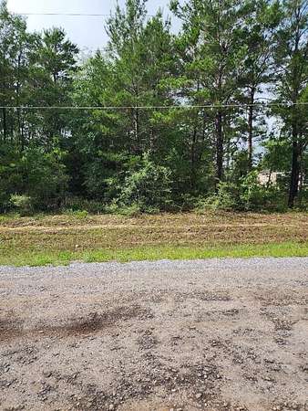 0.23 Acres of Residential Land for Sale in DeFuniak Springs, Florida