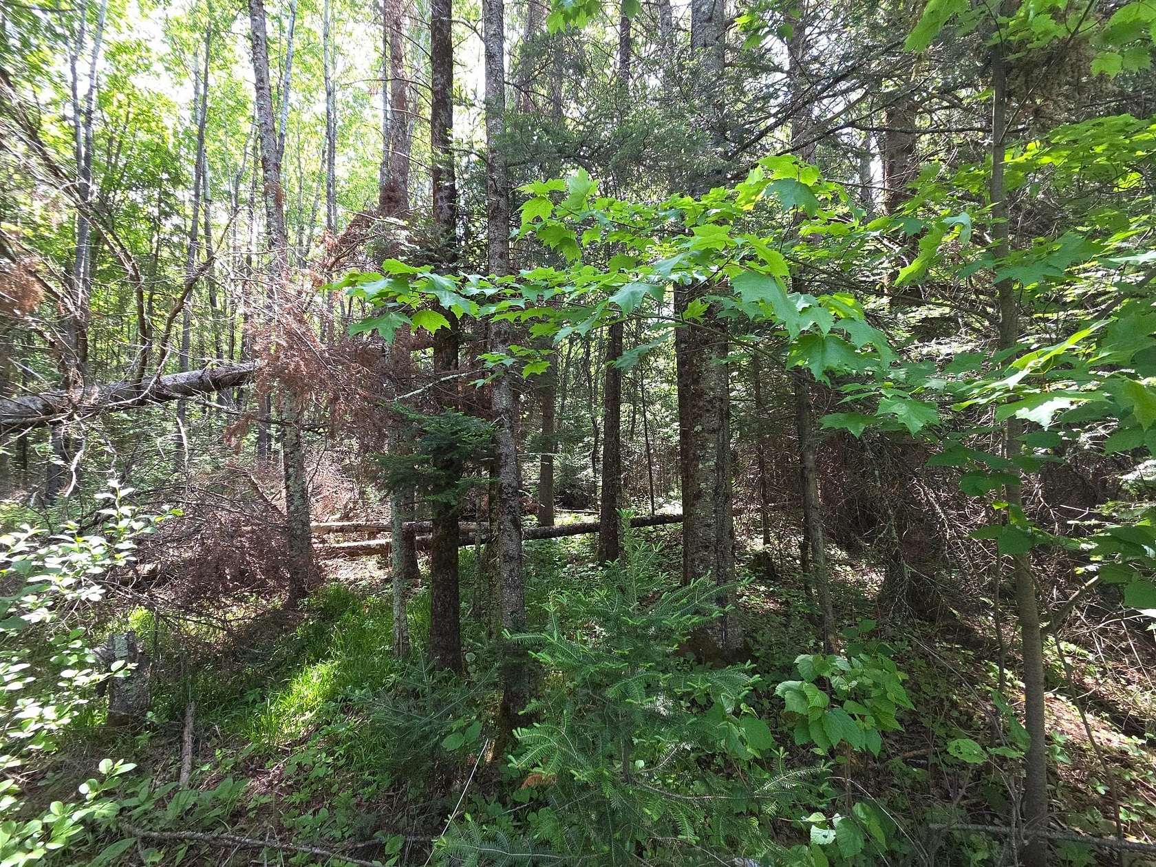 1.3 Acres of Residential Land for Sale in Phillips, Wisconsin