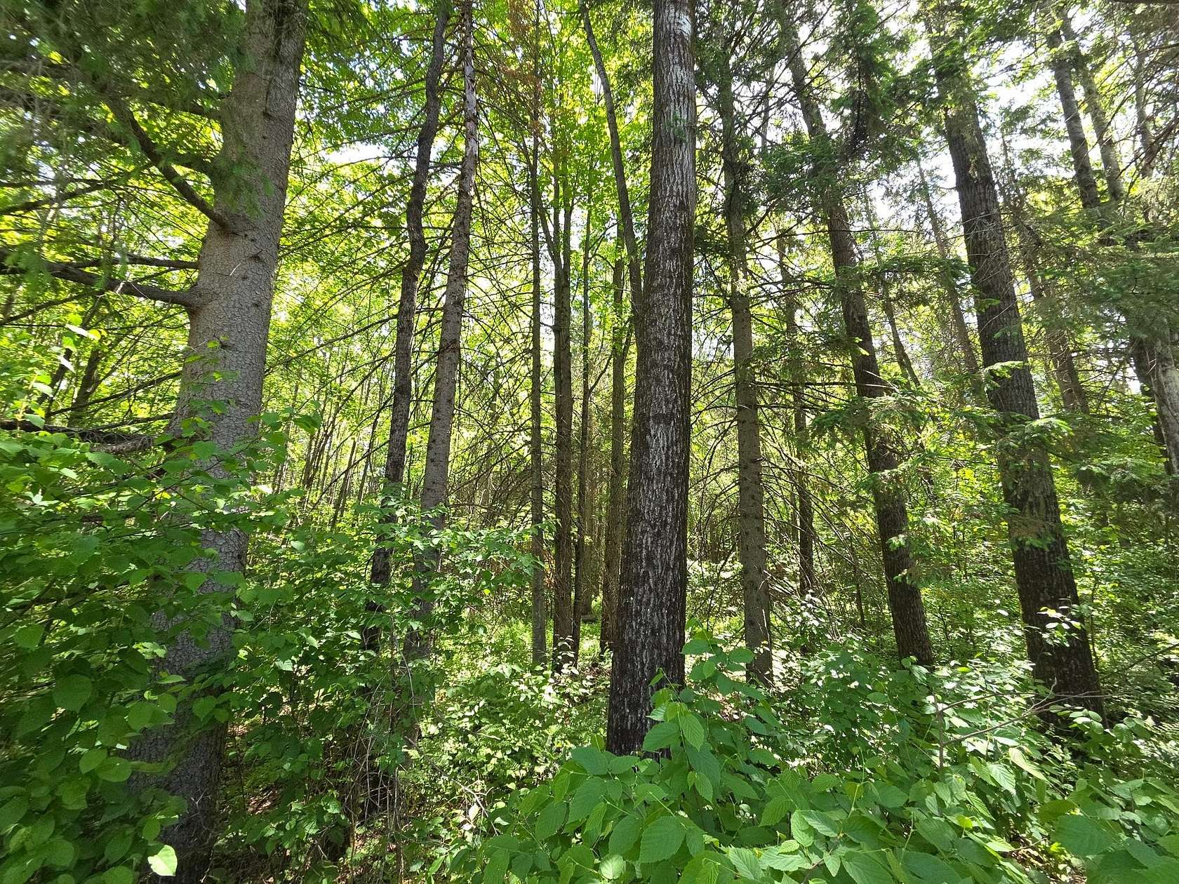 1.13 Acres of Residential Land for Sale in Phillips, Wisconsin