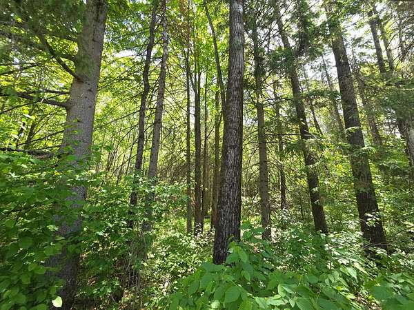 1.13 Acres of Residential Land for Sale in Phillips, Wisconsin