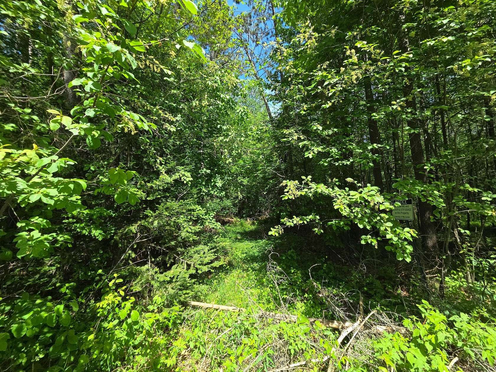 7 Acres of Residential Land for Sale in Phillips, Wisconsin