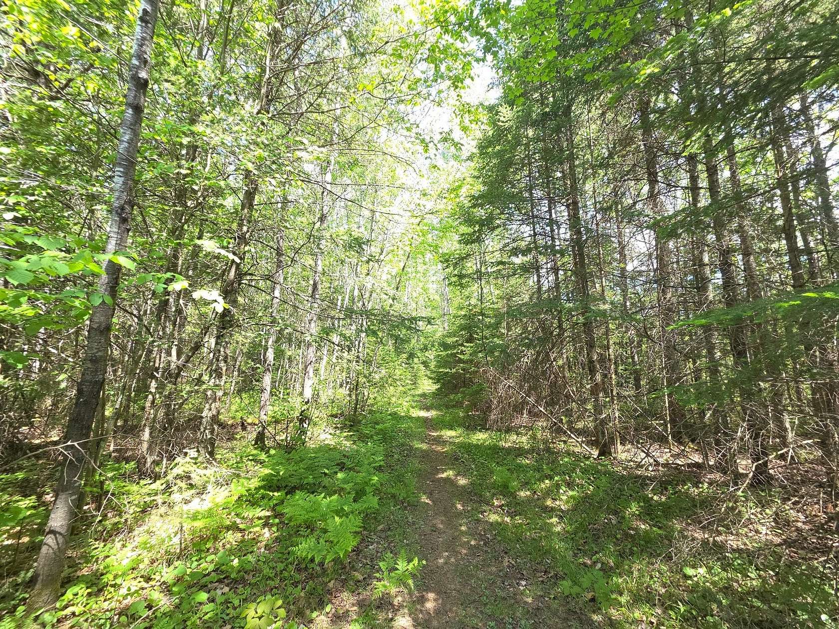 8 Acres of Residential Land for Sale in Phillips, Wisconsin