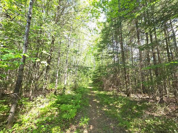 8 Acres of Residential Land for Sale in Phillips, Wisconsin