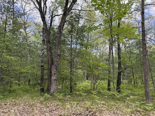 2.5 Acres of Land for Sale in Wellston, Michigan