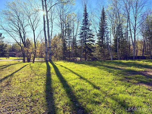 1 Acre of Residential Land for Sale in Skandia, Michigan