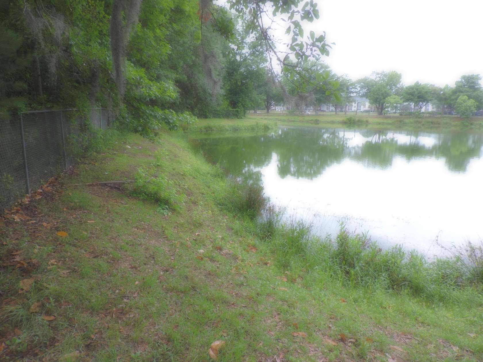 5 Acres of Residential Land for Sale in Charleston, South Carolina