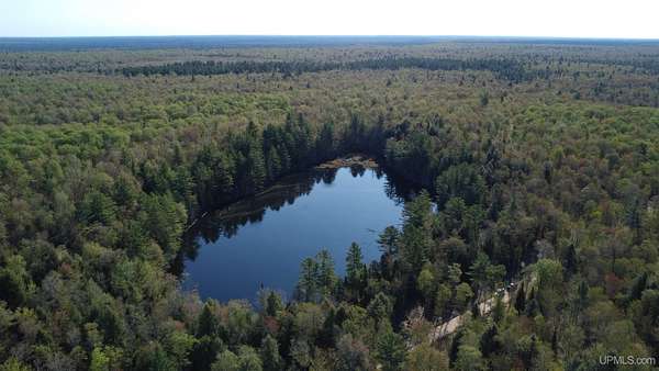 151 Acres of Recreational & Residential Land for Sale in Newberry, Michigan