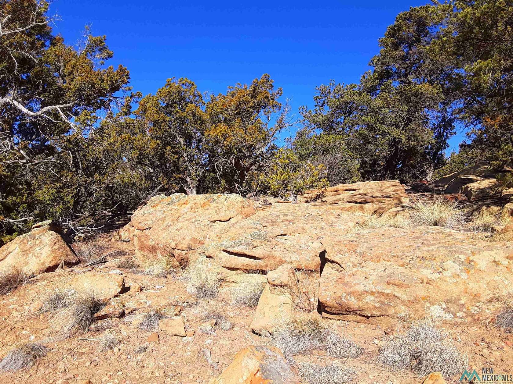 5.33 Acres of Land for Sale in Pinehill, New Mexico
