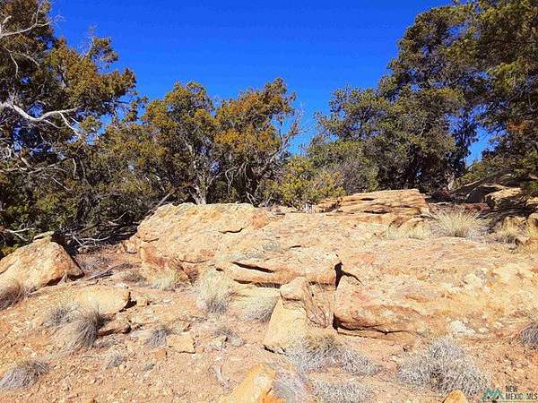 5.33 Acres of Land for Sale in Pinehill, New Mexico