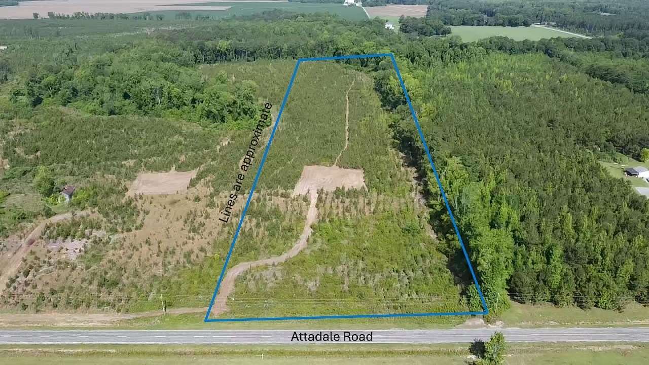 12.7 Acres of Land for Sale in Blenheim, South Carolina