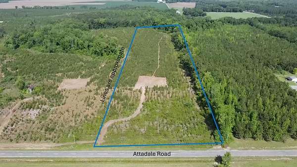 12.7 Acres of Land for Sale in Blenheim, South Carolina
