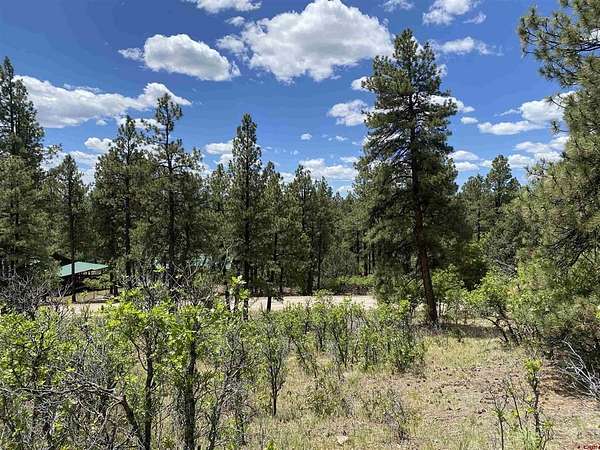 0.24 Acres of Land for Sale in Pagosa Springs, Colorado