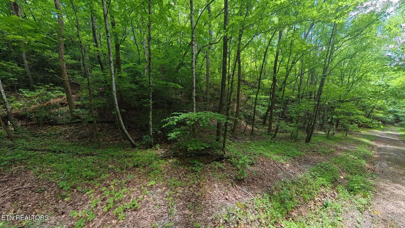3 Acres of Residential Land for Sale in Harriman, Tennessee