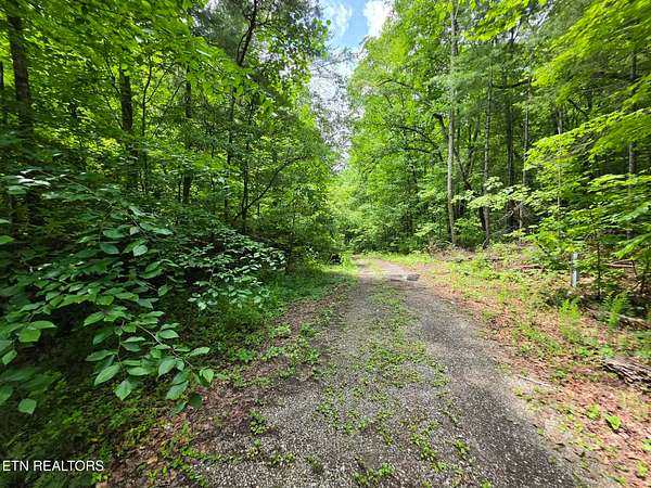 3 Acres of Residential Land for Sale in Harriman, Tennessee