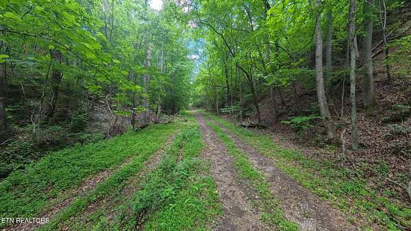 3 Acres of Residential Land for Sale in Harriman, Tennessee