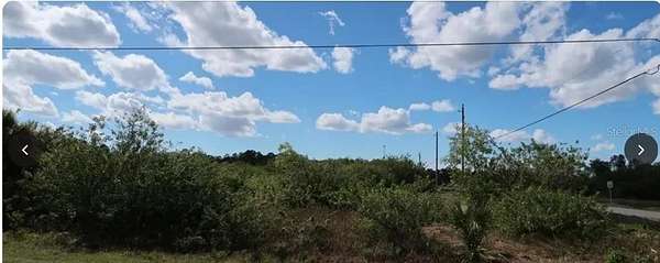 0.34 Acres of Residential Land for Sale in Fort Myers, Florida