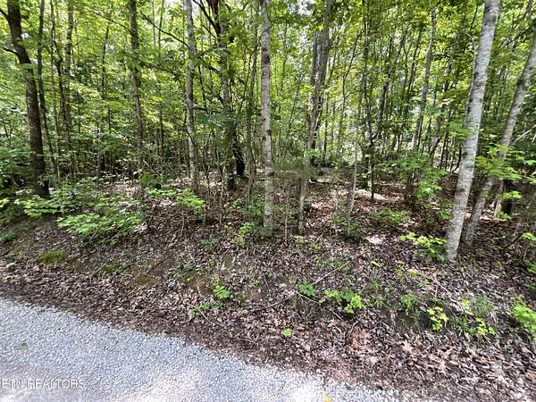 1 Acre of Residential Land for Sale in Rockwood, Tennessee