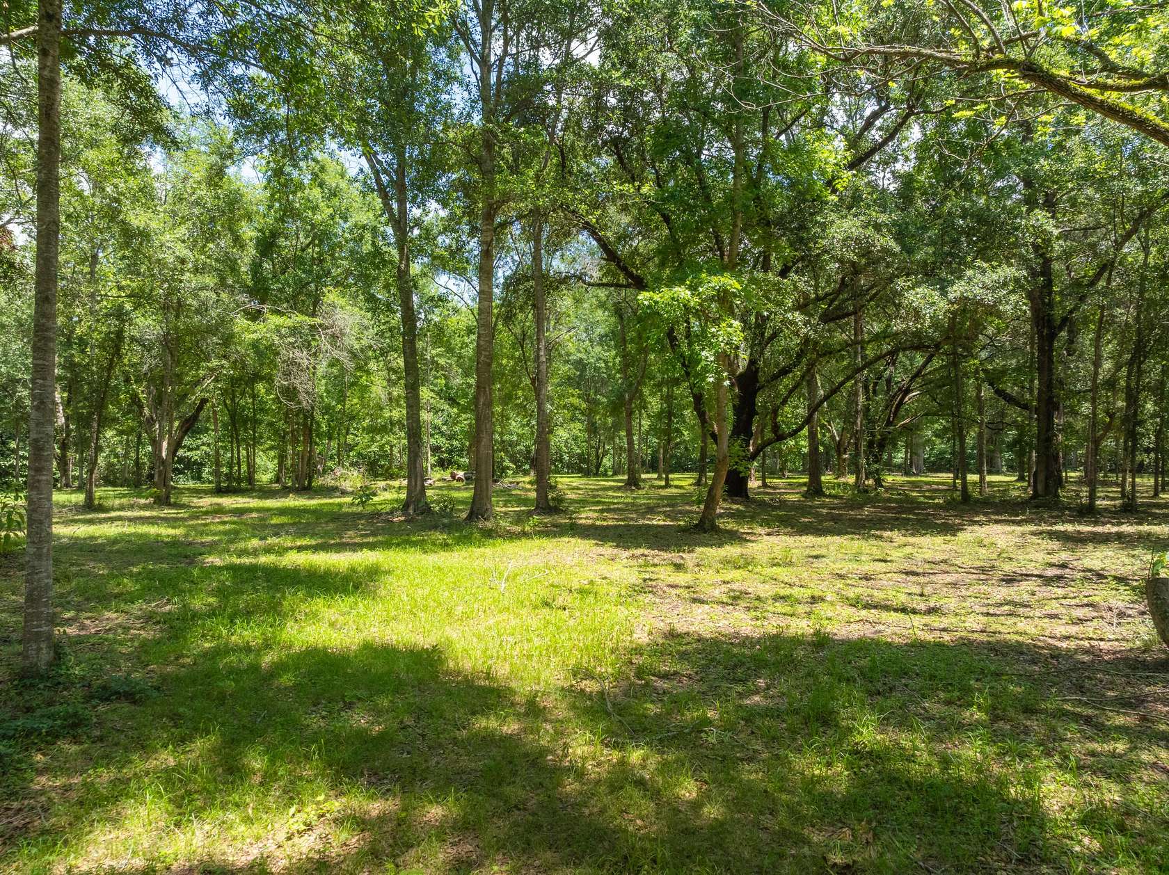 12.5 Acres of Land for Sale in Picayune, Mississippi
