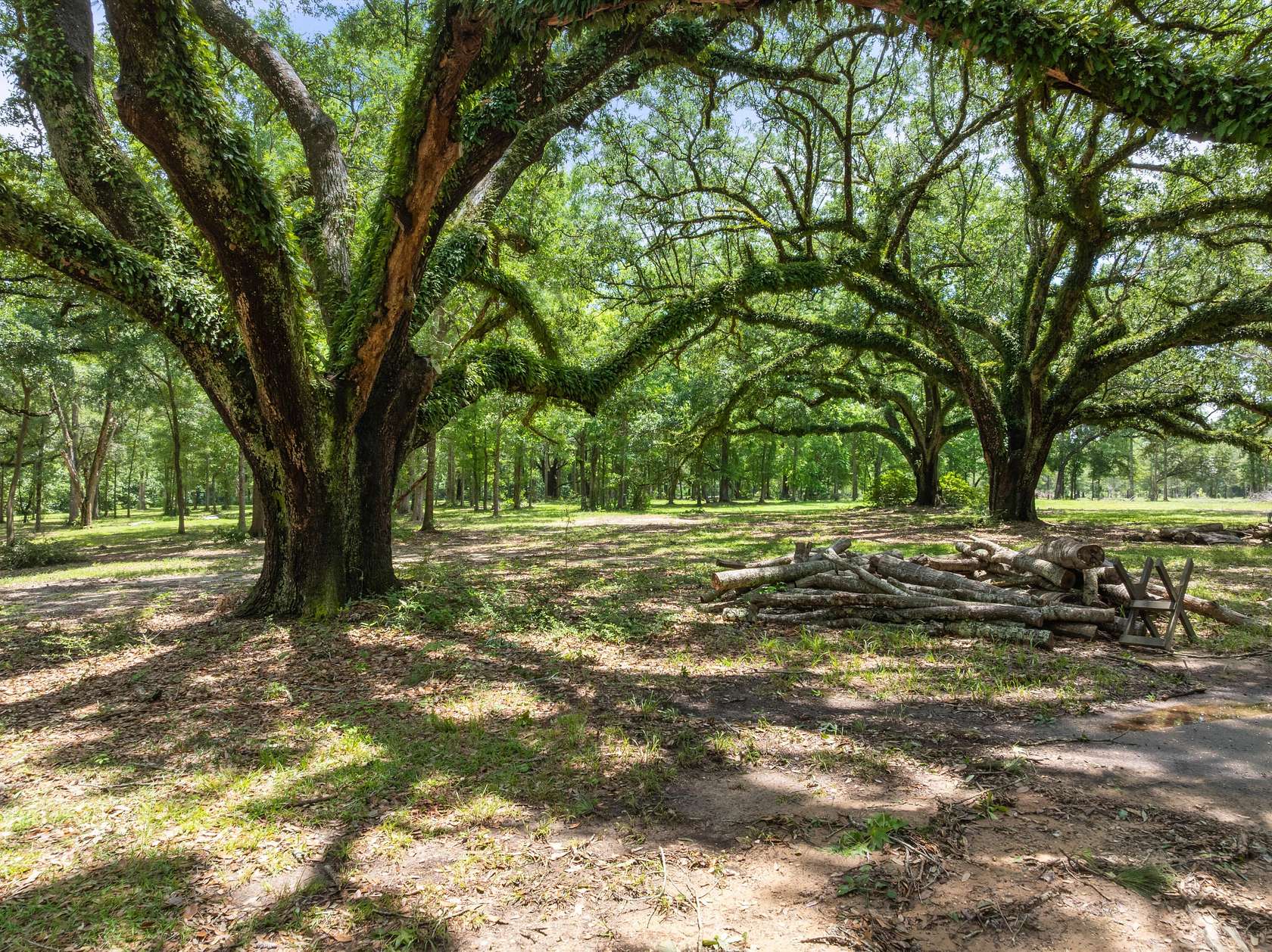 14.8 Acres of Land for Sale in Picayune, Mississippi