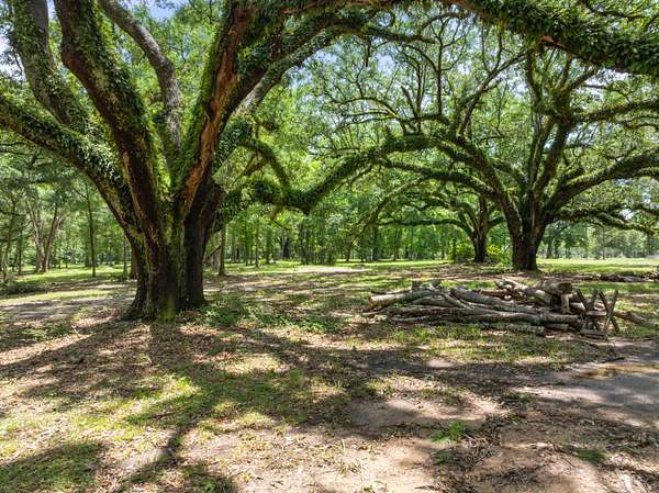 14.8 Acres of Land for Sale in Picayune, Mississippi