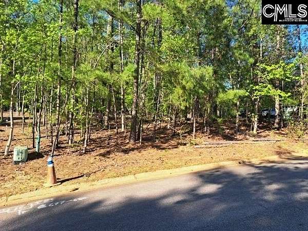 0.41 Acres of Residential Land for Sale in Chapin, South Carolina
