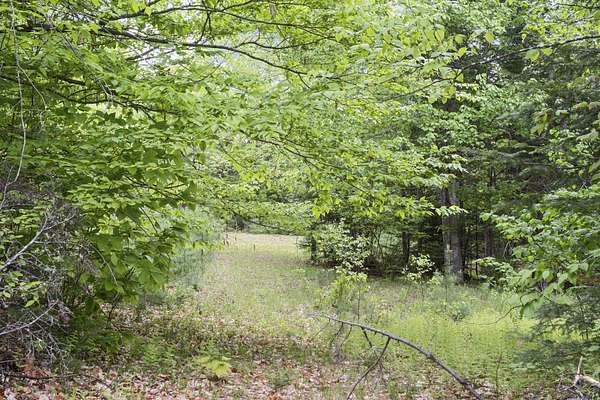 5.29 Acres of Recreational Land for Sale in Palmyra, Maine