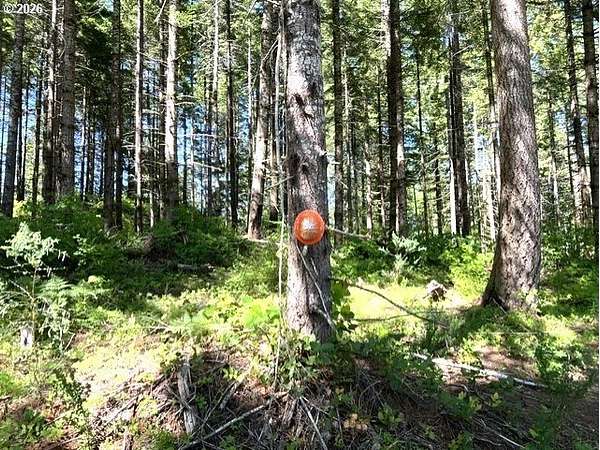 52.4 Acres of Recreational Land for Sale in Banks, Oregon